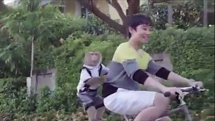 Chú khỉ đền ơn đáp nghĩa sau khi được cứu mạng khiến ai cũng bất ngờ - Hay Nhức Nhói