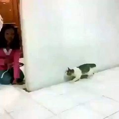 VID-20160123-WA0000.mp4