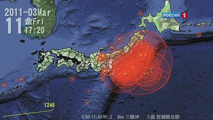 Сильнейшее цунами. Страшные кадры