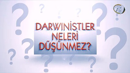 Darwinistler neleri düşünmez? -13-