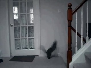 Прикольный микс, состоящий из одного единственного прыжка кота, НО КАКОГО!