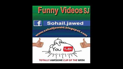 Funny Animal Compilation SJ 13 -  Cats , Dogs  Compilation