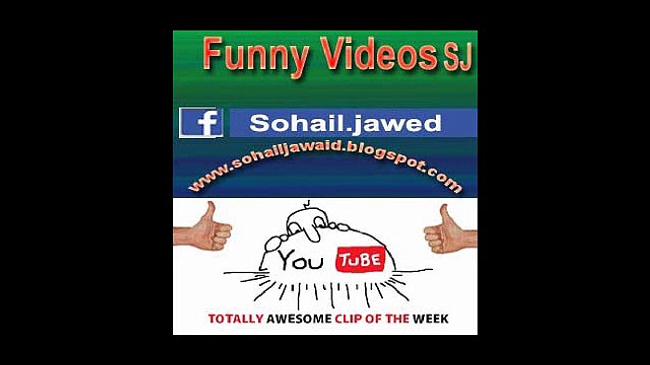 Funny Animal Compilation SJ 13 -  Cats , Dogs  Compilation