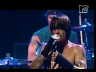 RHCP - Otherside