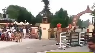 INDIAN BORDER GUARD FELL WHILE SALUTING FUNNY