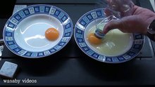 with Eggs