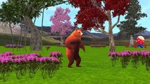 Bear Cartoons Singing Finger Family Nursery Rhymes for Children and Twinkle Twinkle Little