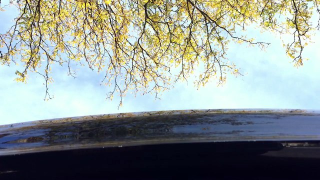 2016 BMW 335i GT Cold Start