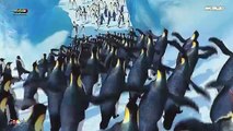Ievan Polkka I Goyang Pinguin I Original Movie