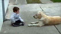 Impactante video de perro cuidador