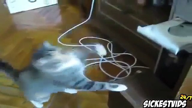 Супер мега приколы про кошек и котов СМОТРЕТЬ ВСЕМ!