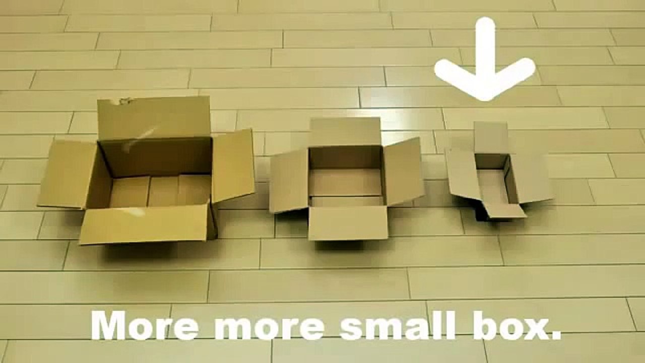 Упёртый кот Мару_Cat Maru