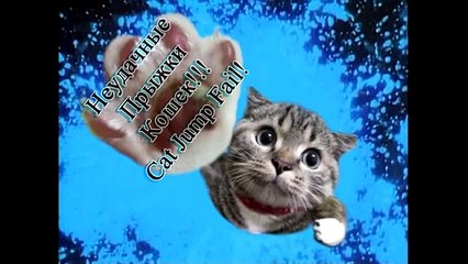 Крутые прыжки котов, матрица отдыхает