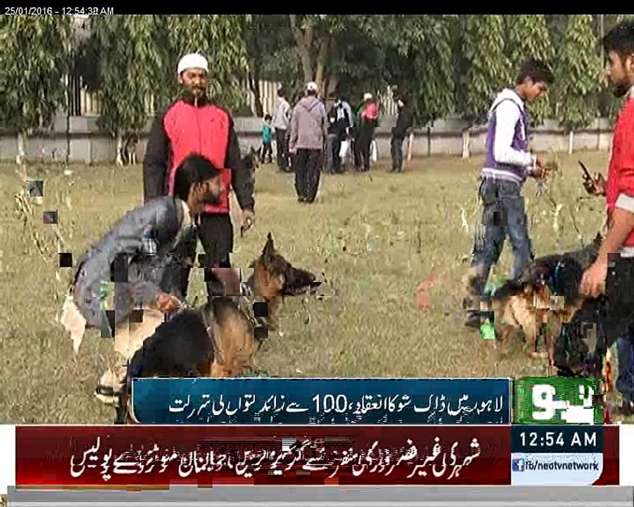 Dog show news report by Ruba Arooj Neo tv