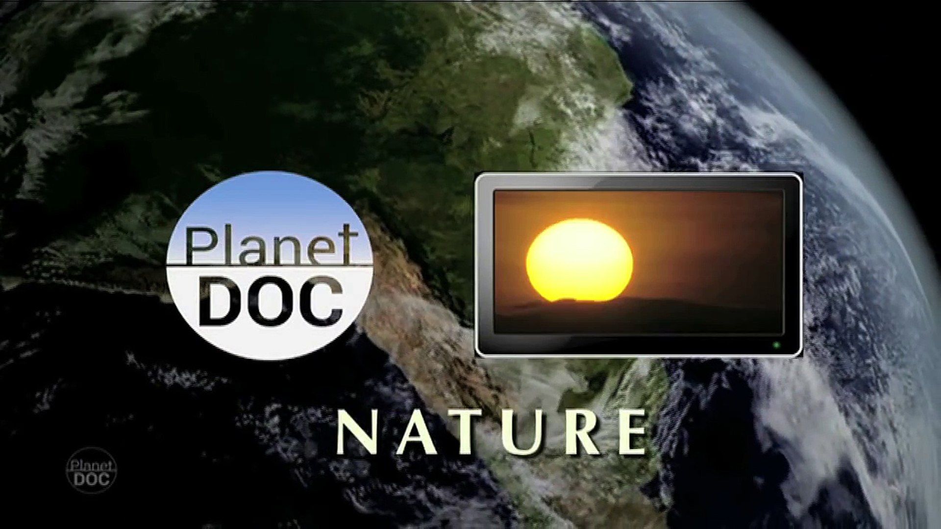 ⁣Southern Right Whales in Peninsula Valdés   Nature - Planet Doc Full Documentaries