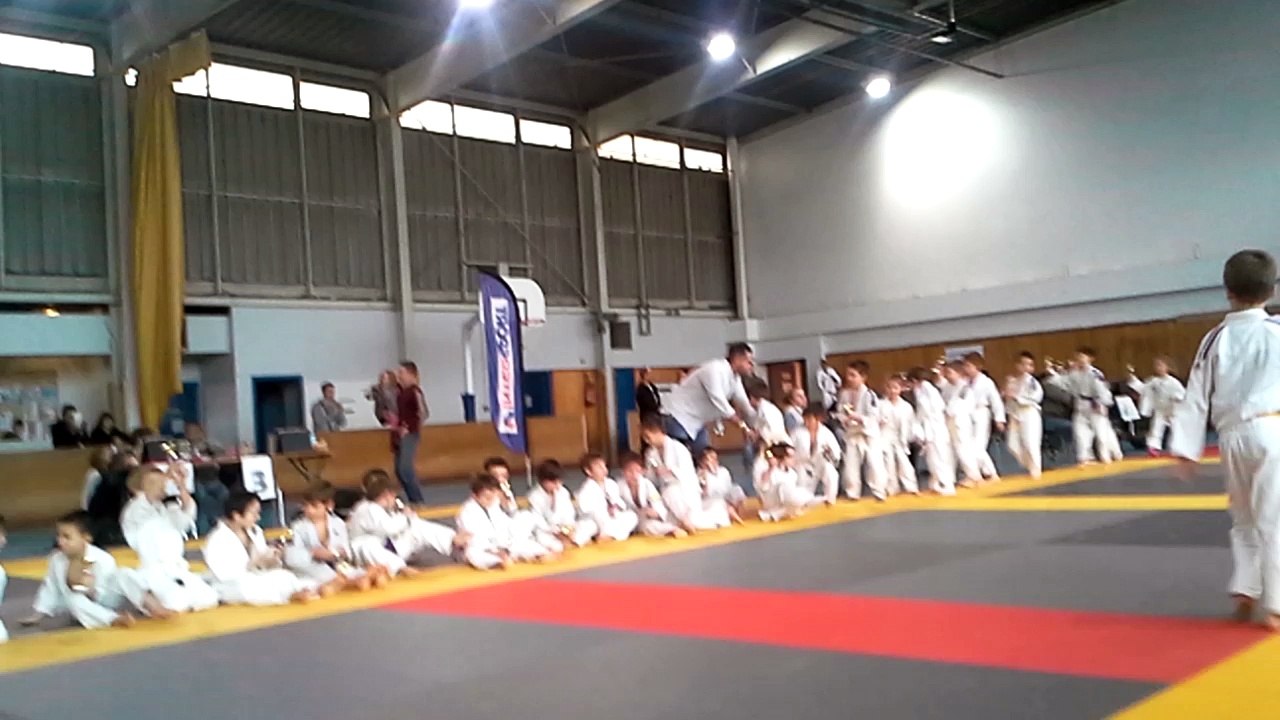 Fête du judo