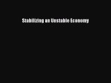 Stabilizing an Unstable Economy  PDF Download