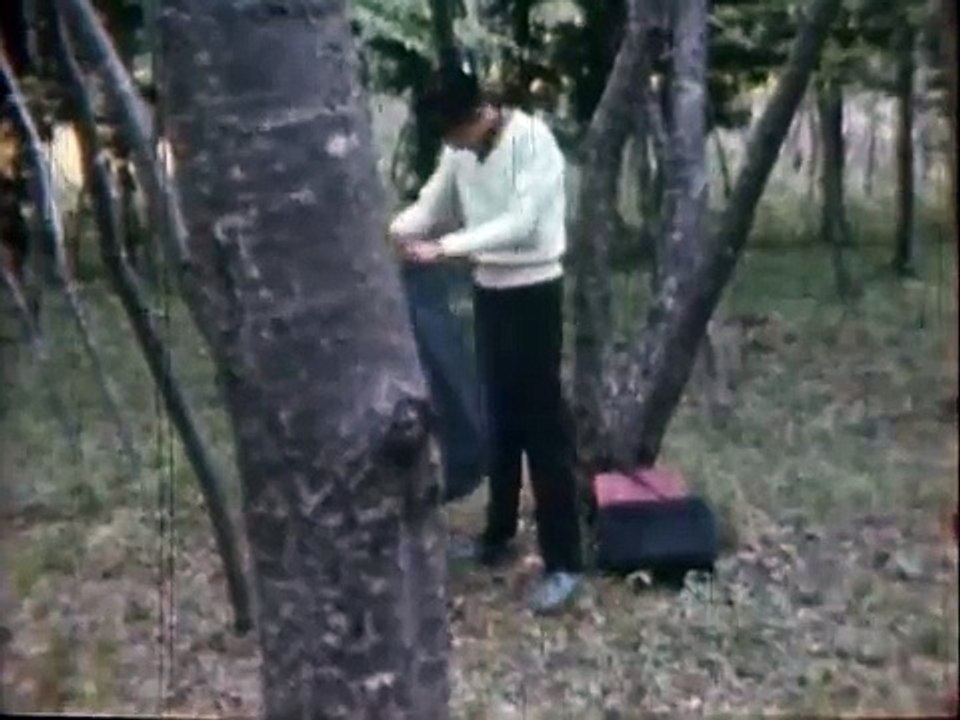E no Naka no Shoujo - Nobuhiko Obayashi, 1960 Silent