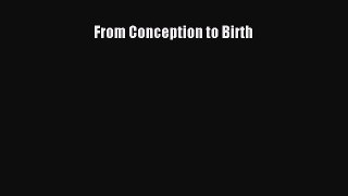 From Conception to Birth  Free PDF