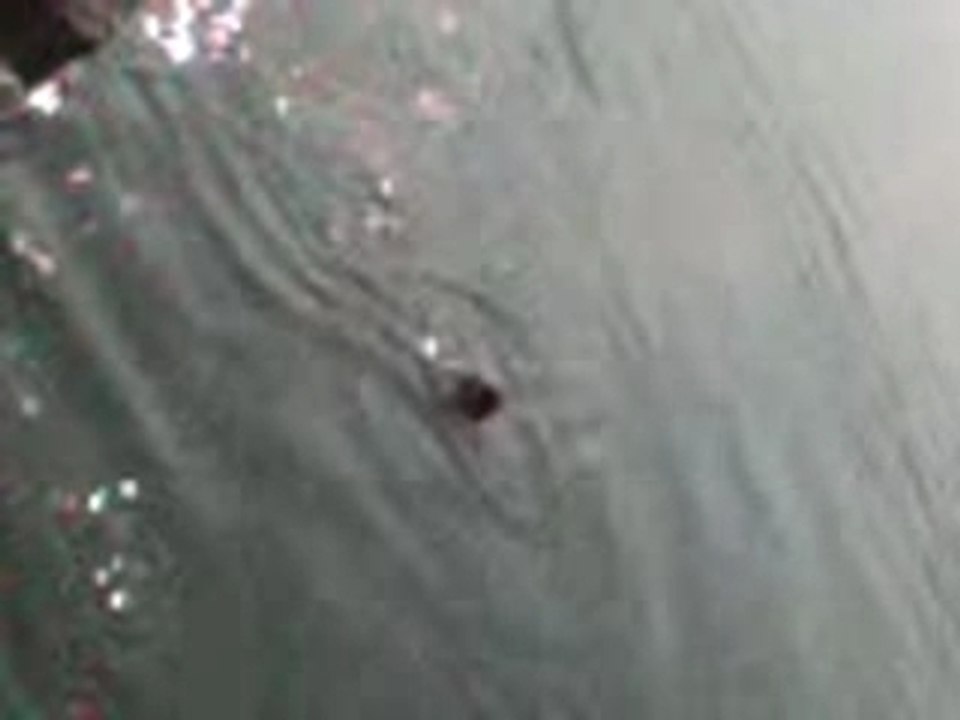 MOV00002