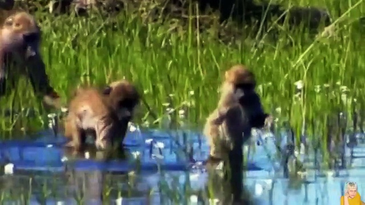 Не Ж Е Н Ю С Ь! прикольная песенка)))