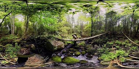 Survivorman- How to Survive in the Wild (360 Video)