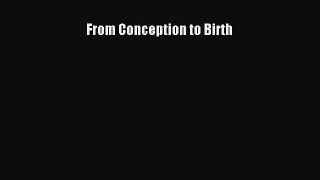 From Conception to Birth  Free Books