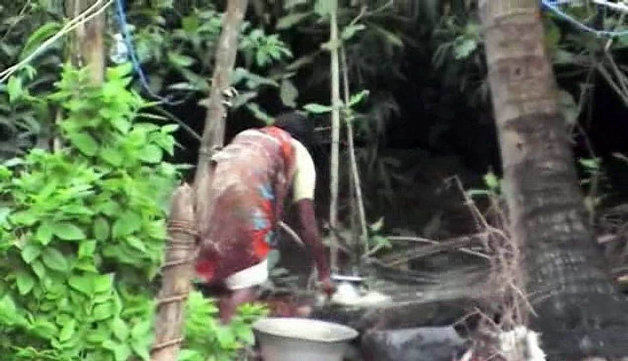 scenes de vie - inde du sud
