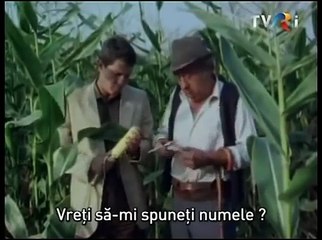 Vara sentimentala 1985