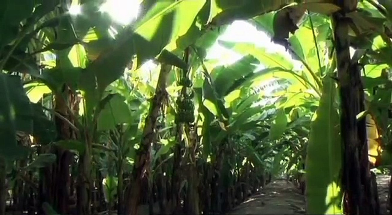 Oman, Podróże, HD, filmy-lektor.pl, cały film, filmy z lektorem,hd,film dokumentalny