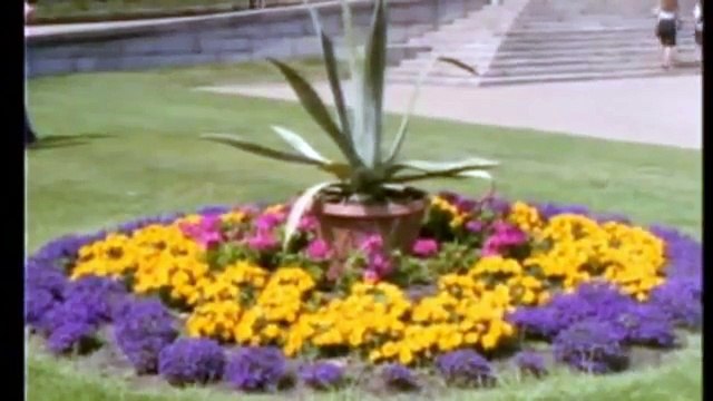 Holandia,Podróże marzeń, HD, filmy-lektor.pl, cały film, filmy z lektorem,holland