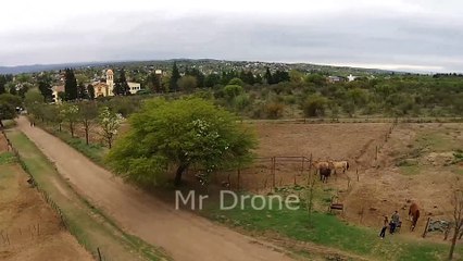 Santos Lugares Drone Cabalgatas equitacionspa parte 2