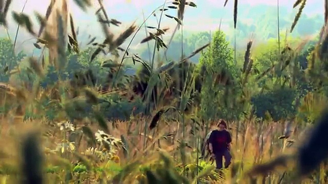 BALLADA O ROTMISTRZU PILECKIM - LECH MAKOWIECKI