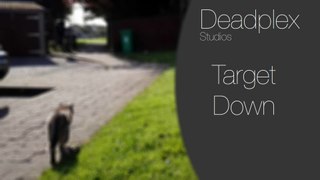 Target Down | Arial