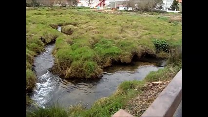 Paseo por la Xunqueira, Pobra do Caramiñal 2016