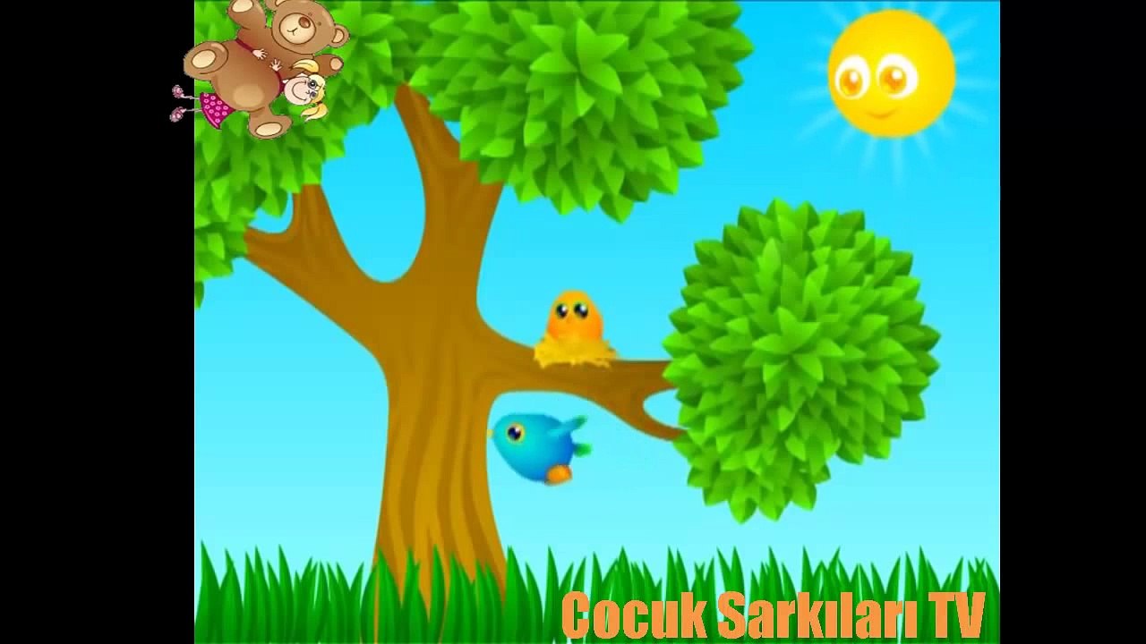 Cik cik ötüyor kuşlar çocuk şarkısı
