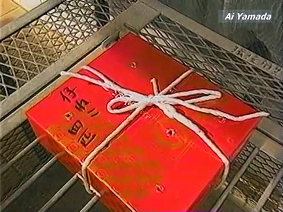 たけしの万物創世記　捨て犬たちのマザーテレサ