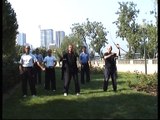 kungfu taichi avec maître Tran-kinh Quai Branly Paris 15