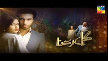 Gul-e-Rana Episode 14 Promo on Hum Tv