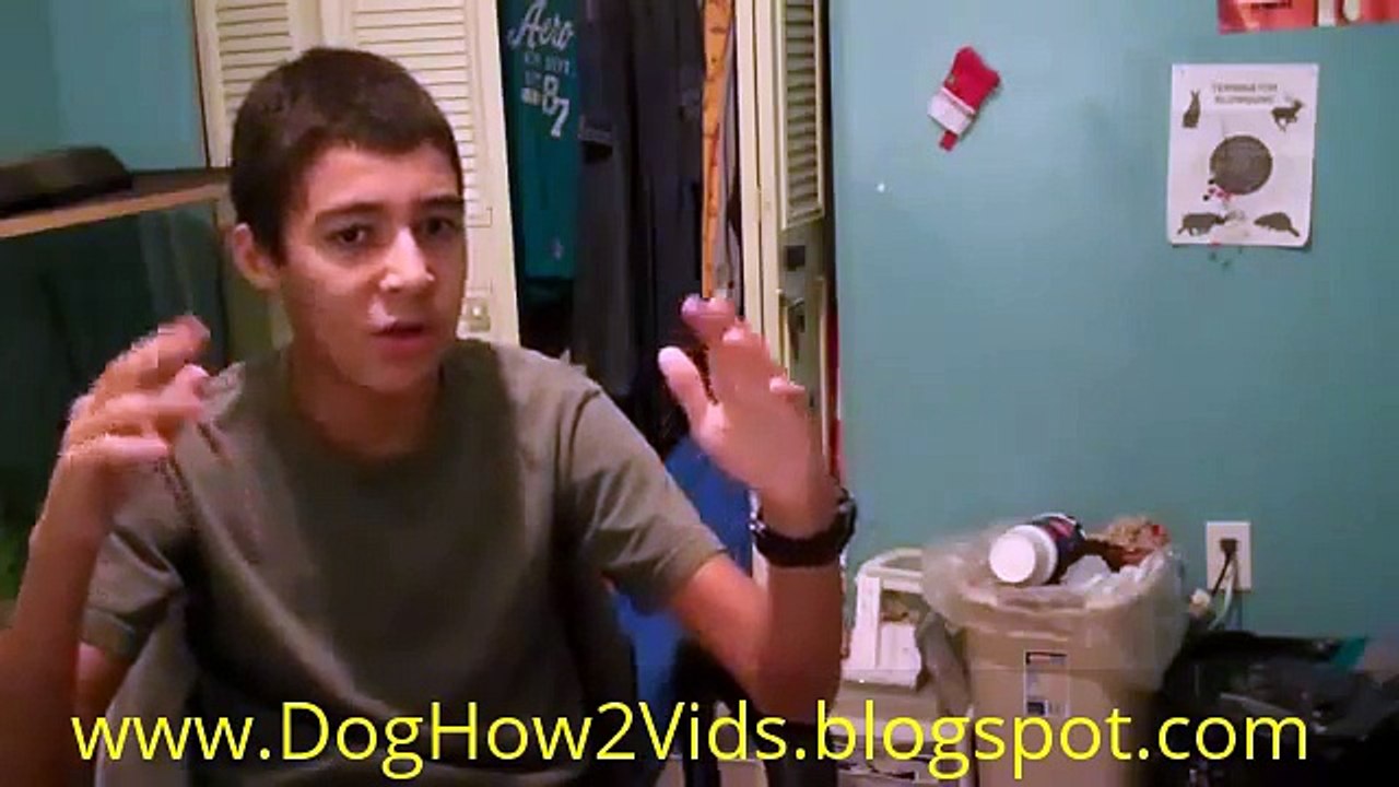 How To Convince Your Parents To Say Yes To A Pet! This Works