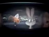 Popular Videos - Looney Tunes & Looney Tunes: Back in Action