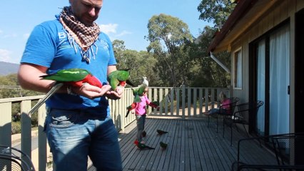Il sort sur son patio et se met à siffler, gardez bien un oeil sur ses mains, ouah!