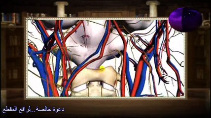 هدى وبينات|الحلقة 5- رمضان 1436|ج7/2- الشيخ صالح المنجد.