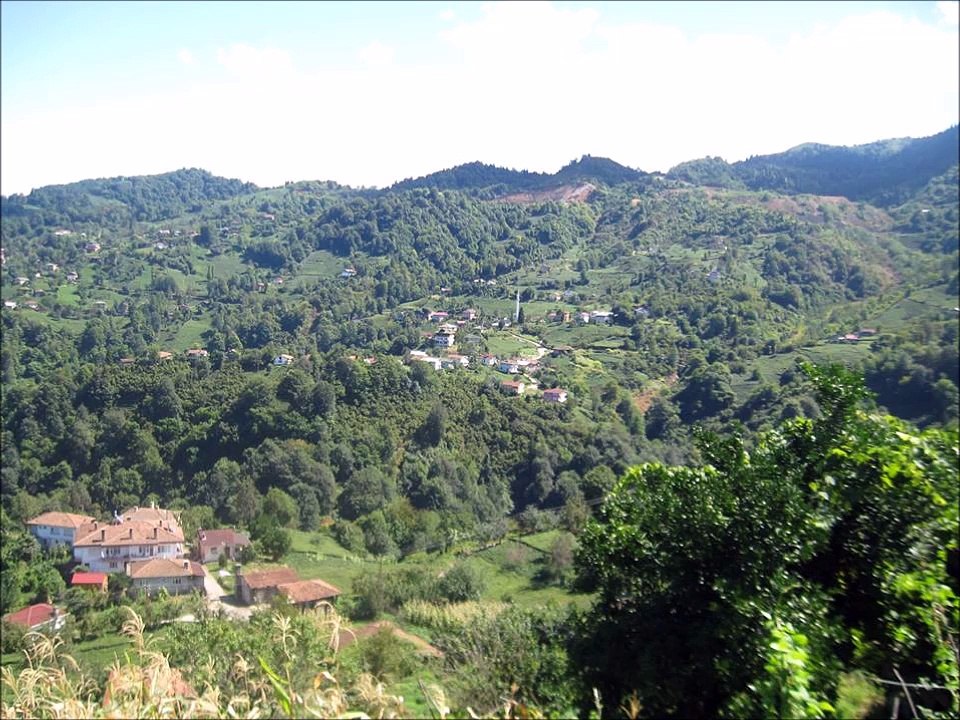 Trabzon-Sürmene-Yeniay