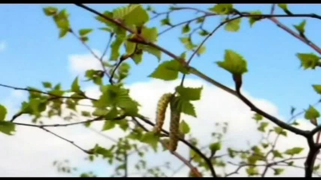 هدى وبينات|الحلقة 5- رمضان 1436|ج7/4- الشيخ صالح المنجد.