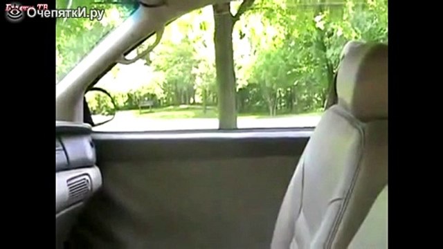 Позитивные моменты и интересные приколы