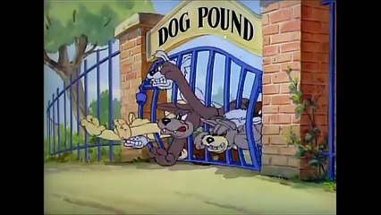 Tom and Jerry, 16 Episode - Puttin’ on the Dog (1944)