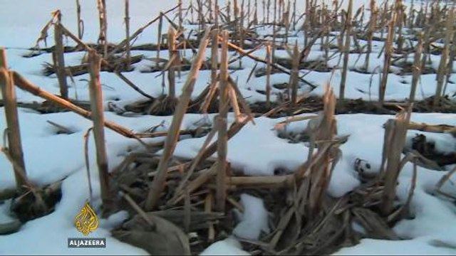 Socialism, Bernie Sanders style