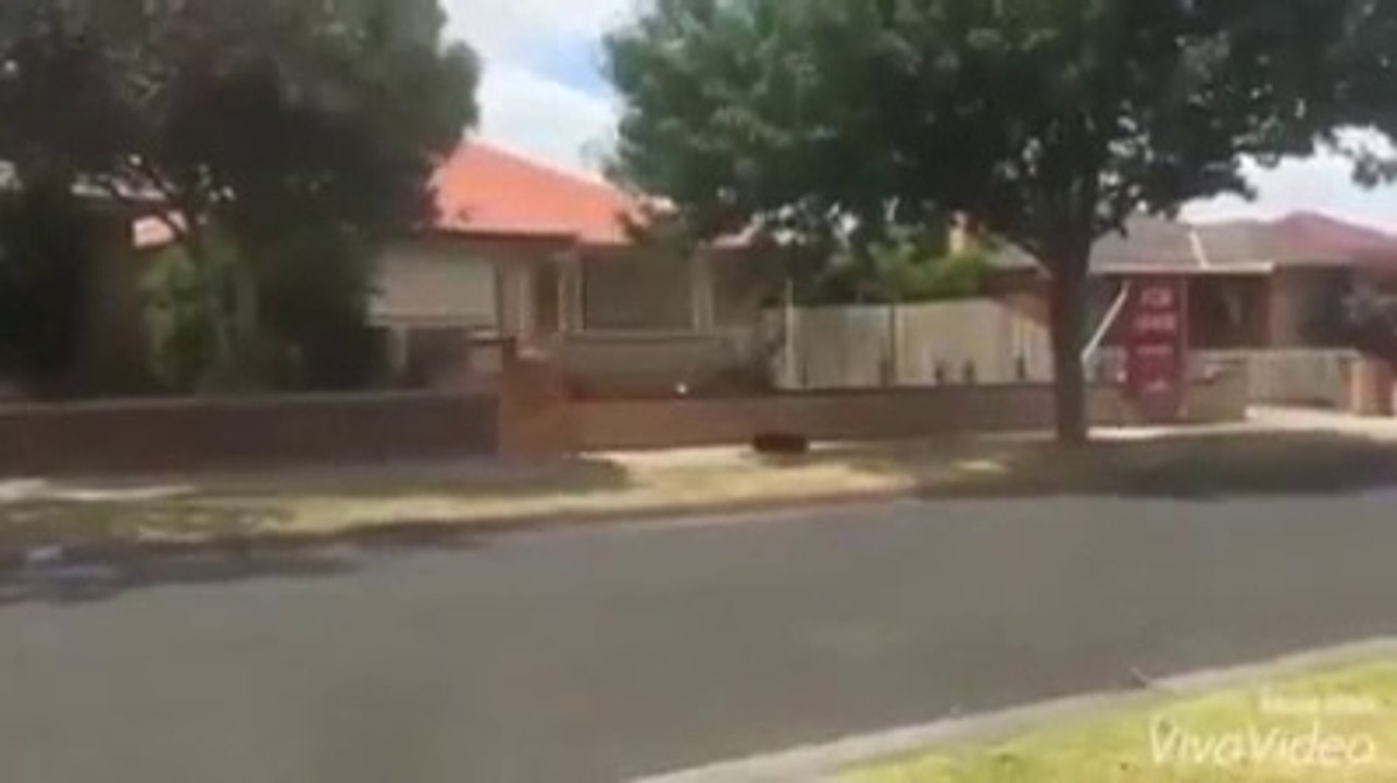 TERRORIST BOMB PRANK