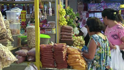 Camaçari: where Brazil's first Zika cases were identified